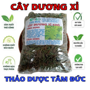 100g cây dương xỉ sấy khô