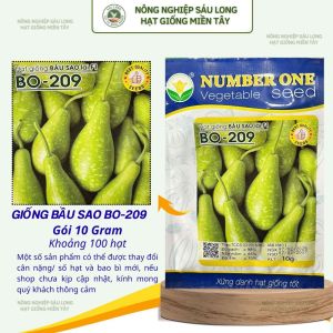 Gói 10 gram [khoảng 100H] Hạt giống Bầu sao f1 BO 209 NumberOne