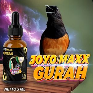VITAMIN PEMBERSIH RONGGA HIDUNG | PEMBERSIH TENGGOROKAN BURUNG | MENGENCERKAN DAHAK | MAXX GURAH 5 ML