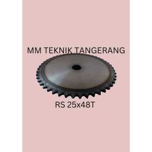 Sprocket RS 25 x 48 T Gear Rantai Single Gir gigi Z 48T RS25 -1 25Z40 25X48T 25-1 tipe B RS-25x48T
