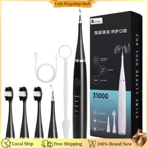 [Ueb Flagship Mall] Ultrasonic Plaque Remover with 3 Brush Heads for Men Women Kids and Pet Care
