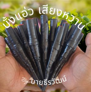 บั้งแอ่วหนู เสียงร้องหนู เสมือนจริง บั้งแอ่วเสียงหวาน BYนายธีรวัฒน์