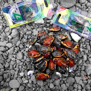 SOFT FROG CHUBBY FROG NATURAL UMPAN CASTING GABUS