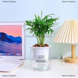 [COD] Home Fashion Lazy Hydroponic Flower Pot Automatic Water-Absorbing Flowerpot Transparent Double Layer Plastic Self Watering Planter Office