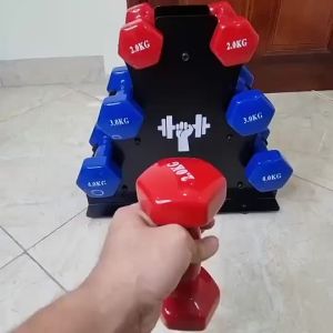 Tạ Tập Gym Tại Nhà Chất Liệu Gang Bọc Cao SuTạ Tay Nữ Chuyên Tập Gym Yoga Cân Nặng Từ 1-6kg PTMK
