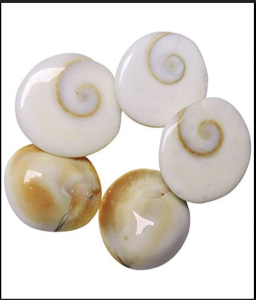 Gomati Chakra 100% Natural Original Gomti Chakra(Small)