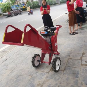 Máy thái vụn cành khô thành dăm MT70 tại Quảng Bình