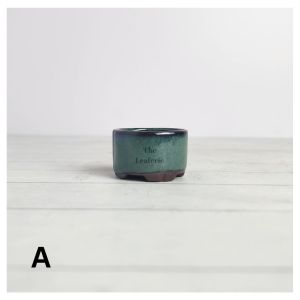 The Leaferie Petit Bonsai Pot (Series 17) plant pots. flowerpot . flowerpots . planter . planters . succulent