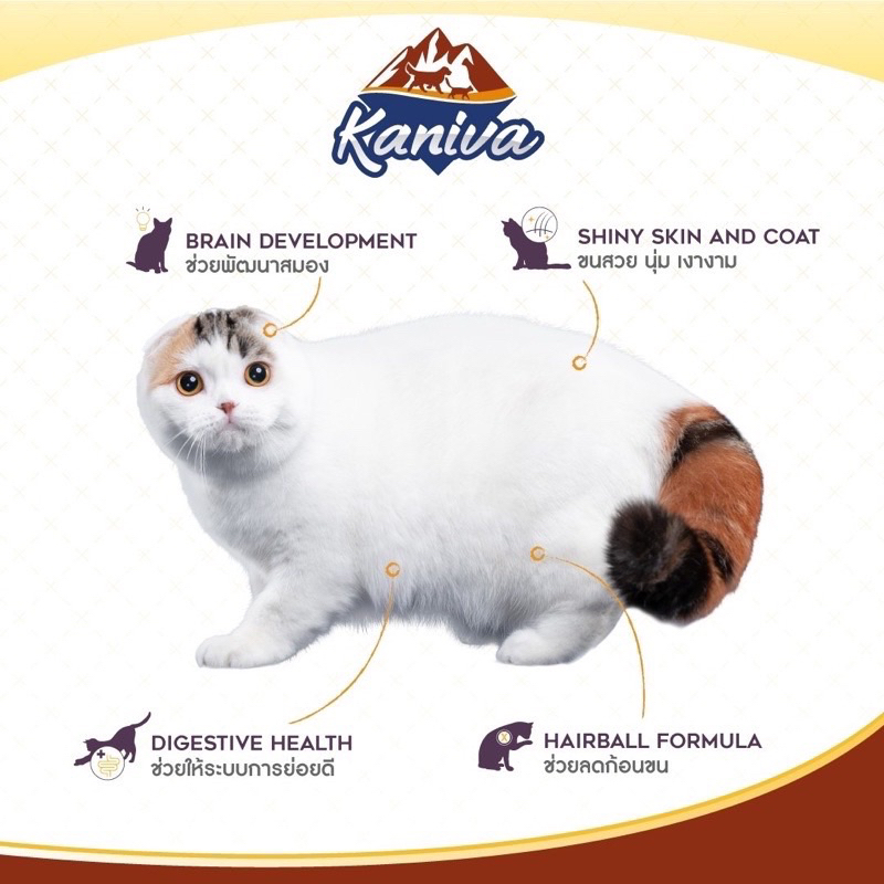 อาหารแมวแบบแห้ง Kaniva อาหารแมว คานิว่า ขนาด 1.3-1.5 กิโล สำหรับแมวทุกช่วงวัย