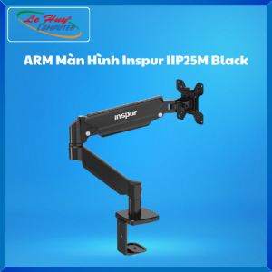 Giá Đỡ Màn Hình - ARM Màn Hình Inspur IIP25M Black - Hàng Chính Hãng