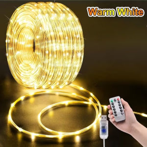 New Upgrades Christmas Light String With Remote USB IP65 Waterproof Leather Wire LED Fairy Lights
