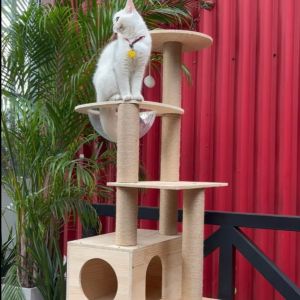 Premium Cat Tree Scratcher Wooden Cat Climbing Frame Cat Tower Cat Condo Sisal Cat Scratching Post 太空舱 猫爬架