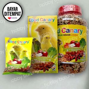 Ebod canary botol pakan wajib burung kenari parkit blackthroot Mozambik gacor sehat rajin bunyi