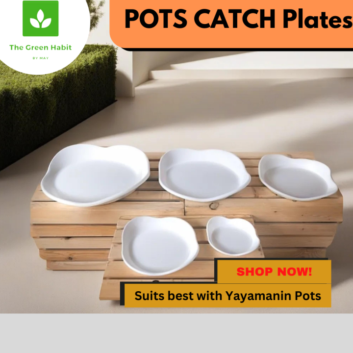 Stylish Classy White Gold Black Catch Plate for Plastic Pots Small to ...