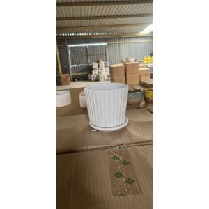 Chậu cây cau tiểu châm cây để bàn văn phòng làm việc Minh Hân Garden