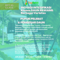 Pupuk Khusus Daun Bawang / Pupuk Penyubur Bawang Daun / Pupuk Daun Bawang Merah / Pupuk Pelebat Bawang Daun / Pupuk Buat Tanaman Bawang Daun. 