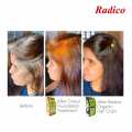 RADICO Colour Foundation Treatment 100G. 