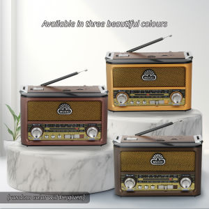 【NEW】Antique Rechargeable Radio + LED Torch Light Bluetooth USB TF Card MP3 Speaker Player FM SW AM TWS Wireless Portable Golon 收音机