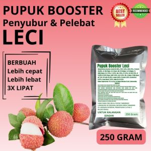 Pupuk Booster Leci / Obat Booster Buah Leci / Pupuk Booster Buah Leci / Pupuk Buah Leci