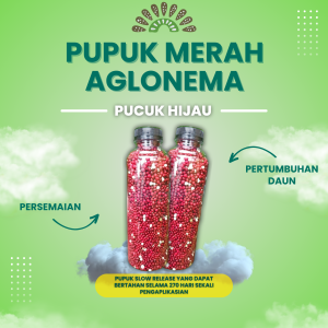 250 gr PUPUK MERAH SLOW RELEASE Kemasan Botol Bening Plastik
