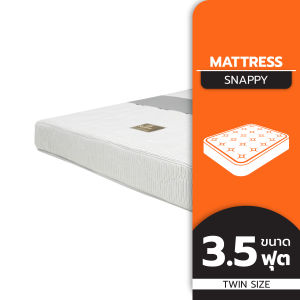 SWANA ที่นอนสปริง หนา 9 นิ้ว รุ่น SNAPPY สีเทา