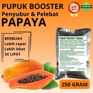 Pupuk Booster Papaya / Obat Booster Buah Papaya / Pupuk Booster Buah Papaya / Pupuk Buah Papaya