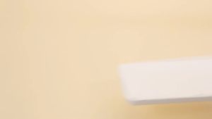 Toast plush alarm clock light