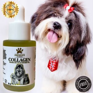 Healing Oil for Pets – Madre de Cacao + Collagen Anti-Mange Itch Relief & Skin Repair (30ml)