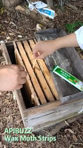 Wax Moth Treatment in Beehive - Wooden Strips for Bees Wax Moth Infestation Control - Beekeeping Material - Bee Supply