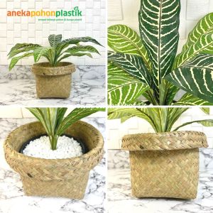 Tanaman Hias Daun Aglonema Romeo X12 Semi Latex Artificial Pot Dasar Cover Purun Tanaman Imitasi Dekorasi Pajangan Ruangan Rumah