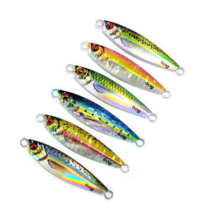 1 Pcs Jig 20g/30g/40g/60g/80g 3D Printing Fishing Lure Bait