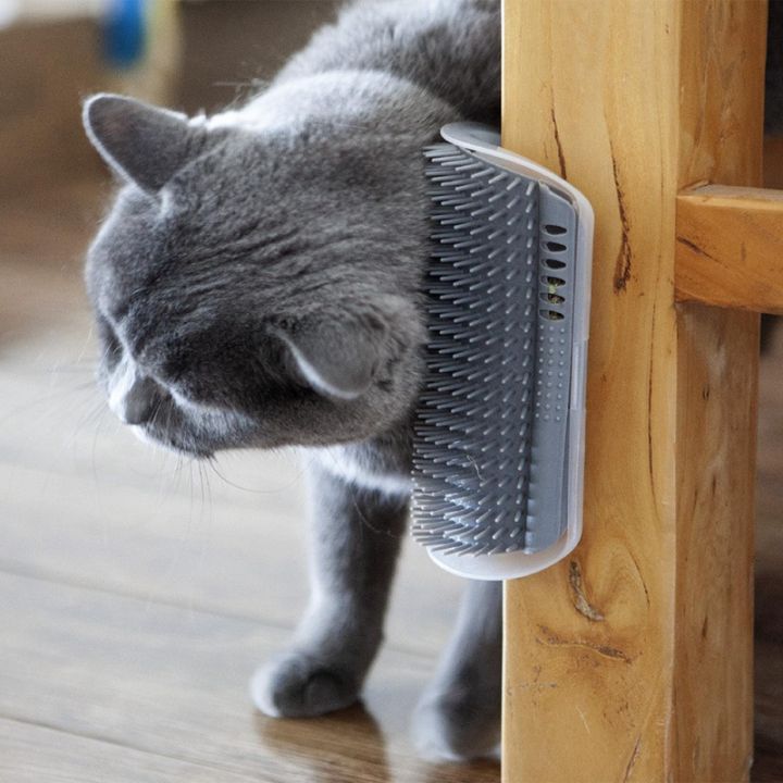 Extended Pack Cat Self Groomer for Indoor Cats Cat Face  Scratchers Wall Corner Self Grooming Cat Brush Lazada PH