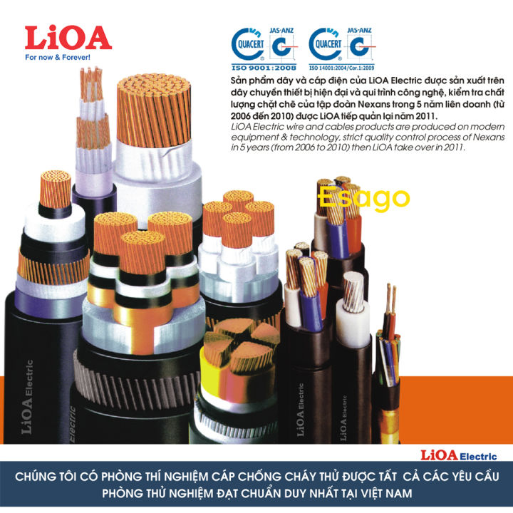 %5BHCM%5D%5B1x6mm2%5D%20D%C3%A2y%20%C4%91i%E1%BB%87n%20%C4%91%C6%A1n%20LiOA%206mm2%20b%E1%BB%8Dc%20nh%E1%BB%B1a%20PVC%20m%C3%A0u%20xanh%20-%20Cu%E1%BB%99n%2010%20m%C3%A9t%20-%20Image%205