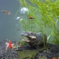 Fish Tank Bubbler Decorations Aquarium Ornament Kit with Air Stone Pump - Hippo Aquarium Decor (9.8ft Tube). 