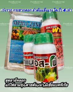 ชุดยาผีหลอกในคะน้า ผักใบทุกชนิด กวางตุ้ง