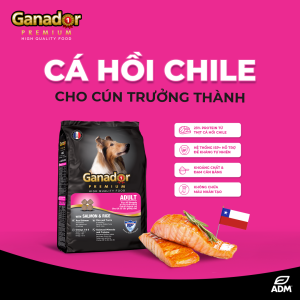 6KG Thức Ăn Hạt Khô Ganador  Đồ Ăn Cho Chó Con/Chó Lớn Cừu  Trứng Sữa  Cá Hồi  Sữa DHA  FIBS  KEOS  Đủ  mùi vị