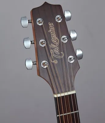 Takamine GD11M-NS