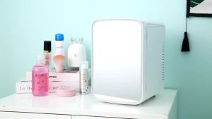 Mini Car Refrigerator Student Mini Refrigerator Small Household Single Cosmetic Refrigerator Dormitory Beauty Refrigerator