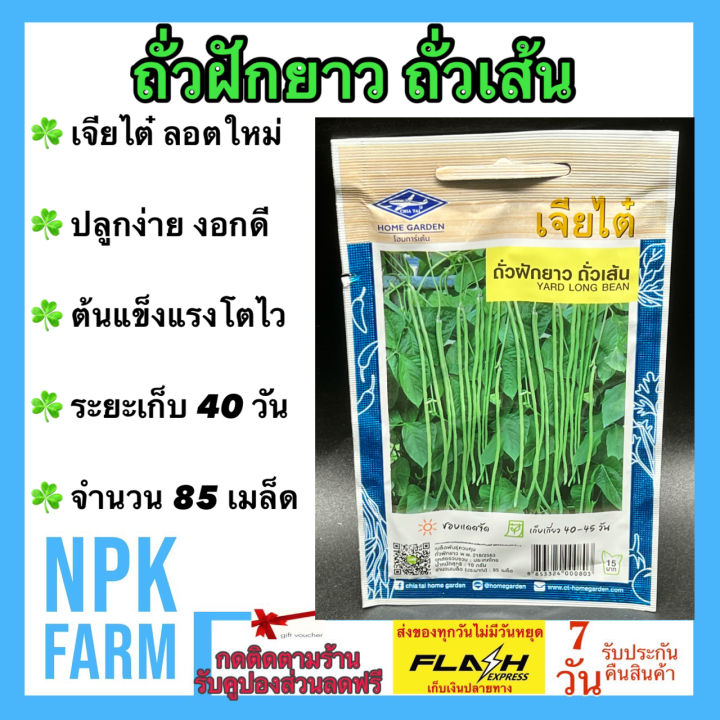 เมล็ดพันธุ์ถั่วฝักยาวเจียไต๋ ถั่วเส้น ปลูกง่าย โตไว