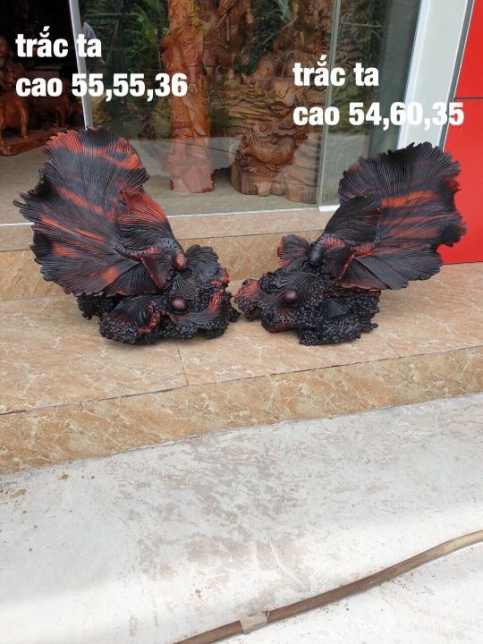 TR%C4%82%CC%81C%20TA%20%C4%90EN%20%C4%90O%CC%89%20%C4%90I%C3%8AU%20KH%C4%82%CC%81C%20CA%CC%81%20XI%C3%8AM%20-%20Image%203