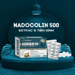 NADOCOLIN 500 Extract S – Viên Uống Bổ Sung Dinh Dưỡng Hỗ Trợ Tuần Hoàn Hộp 30 Viên