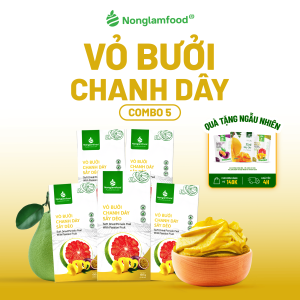 Combo 5 Vỏ Bưởi Chanh Dây Sấy Dẻo NONGLAMFOOD Hàng Chuẩn Xuất Khẩu Dẻo Mềm Chua Ngọt Tự Nhiên Trái Cây Sấy Đồ Ăn Vặt Hộp 100g