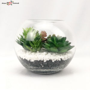 สวนโหลแก้ว แคคตัสปลอม เทอราเรี่ยม แคคตัสพร้อมโหลแก้ว