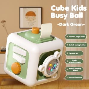 Smart Sprout 6in1 Busy Cube Sensory Training Toy Early Educational Learning Toys for Baby