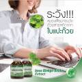 Ginkgo Biloba Extract ใบแปะก๊วย สกัด จิงโกะ สูตรเข้มข้น อาหารเสริม 30 แคปซูล ของแท้100%. 