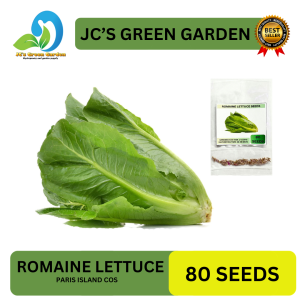 VALUE PACK (80 SEEDS) ROMAINE LETTUCE/PARIS COS ISLAND/FOR PLANTING/GREEN LETTUCE