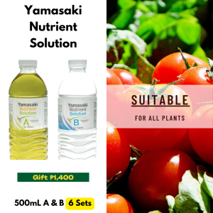 073 Yamasaki Complete Hydroponic Nutrient Solution Set A&B 500mL 6-Pack | Immunity Boosting No pH Adjustment Needed 6-Pack