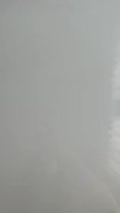 EZ 【Aloe Vera  Spa Cleaning Gloves 】Dog Cat    Dry Bath Wash  Bath Shower Mandi 宠物免洗手套