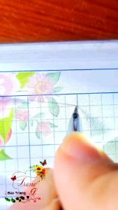 Bút máy kimngocpens no1 spiecial Bút luyện chữ đẹp Bút ngòi lá tre 101 không rỉ bút luyện calligraphy nét thanh nét đậm bút mực