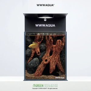 WWWAQUA | Elderwood Hollow (Desktop Nano Aquarium)
